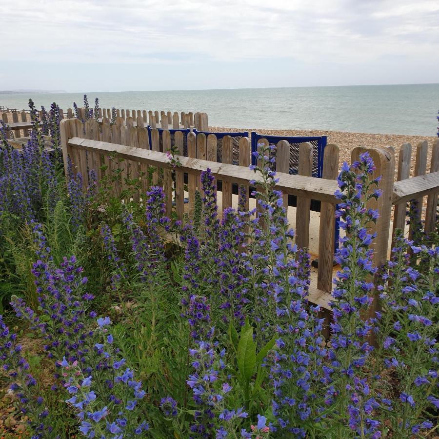 Beachfront Studio Pevensey Luaran gambar